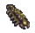 Larva